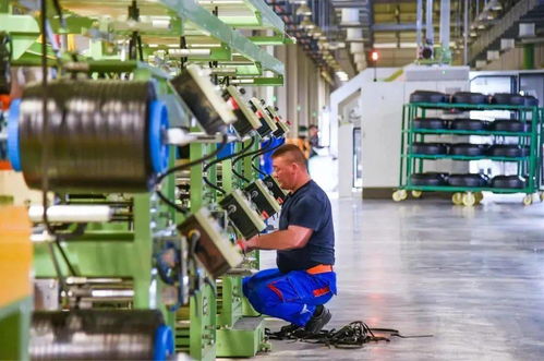 玲瓏輪胎對烏茲別克斯坦技術(shù)服務(wù)項(xiàng)目迎來新進(jìn)展