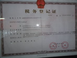 福州潔麗保潔 專業(yè)技術(shù)服務(wù)，打造潔凈新空間