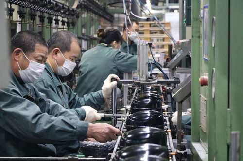 海外訂單激增，長虹電視與冰空洗產(chǎn)品同比大幅增長，網(wǎng)絡技術服務助力業(yè)務拓展